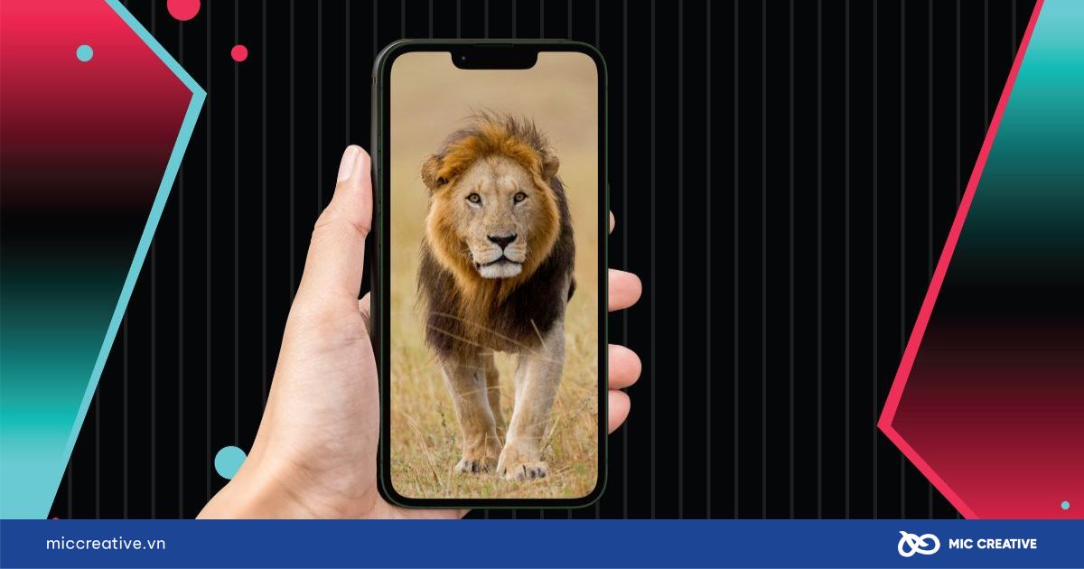 1 con sử tử tiktok bao nhiêu tiền