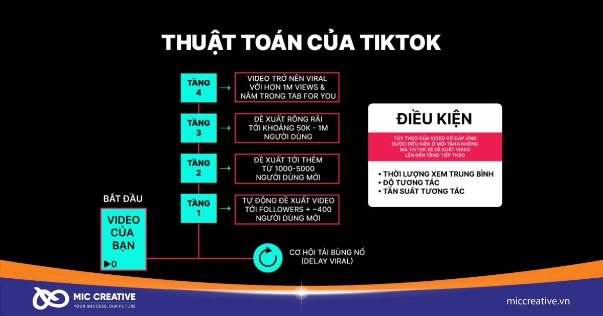 Dựa vào thuật toán TikTok là mẹo để video lên xu hướng 2023