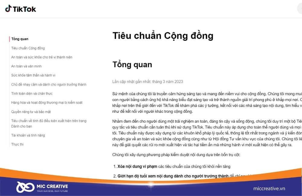 TikTok có một danh sách dài các Tiêu chuẩn cộng đồng mà bạn cần chú ý