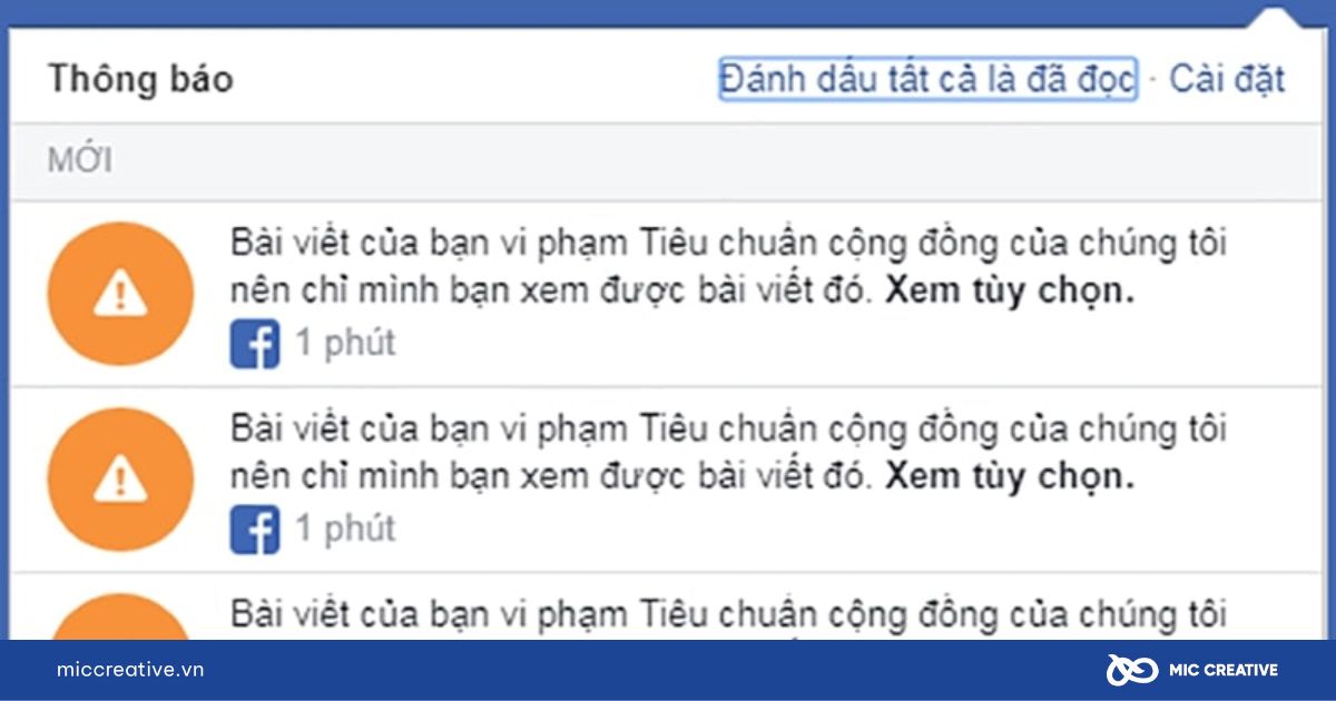 cho thuê tài khoản quảng cáo facebook