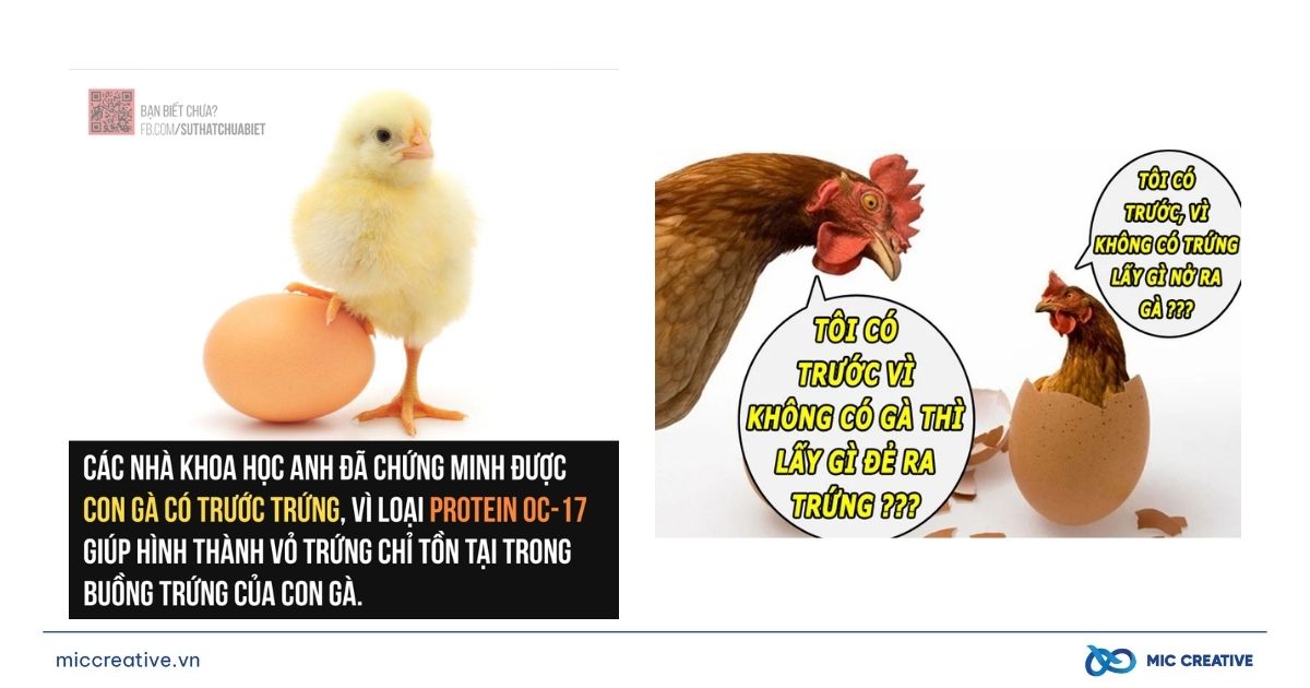Ví dụ content lập luận