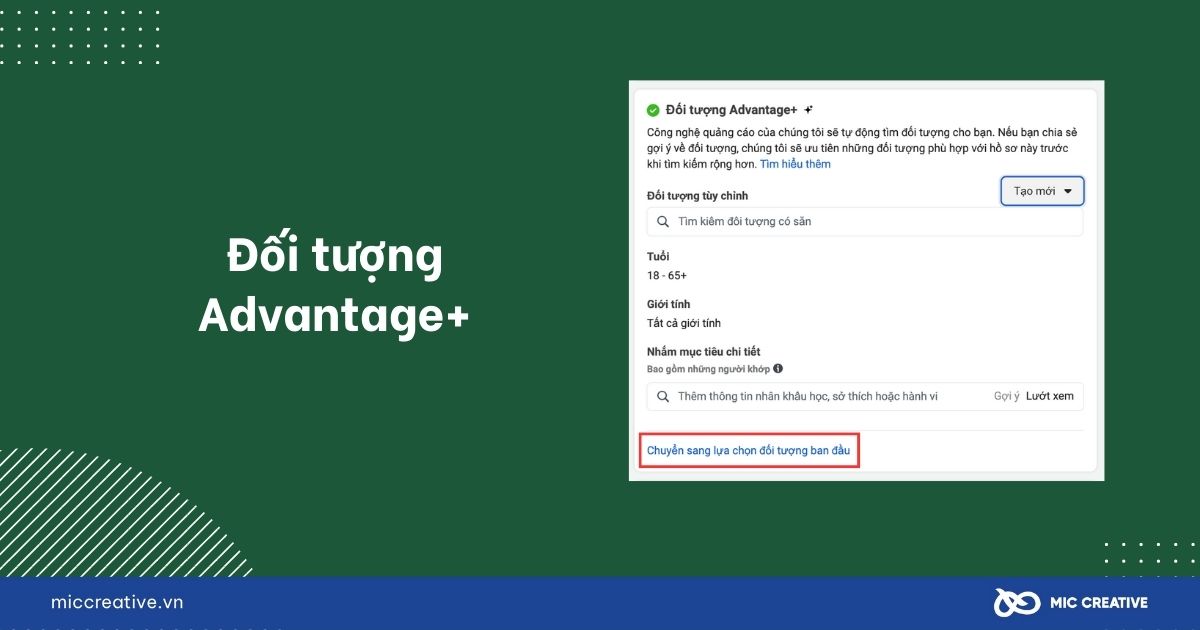 Đối tượng Advantage+
