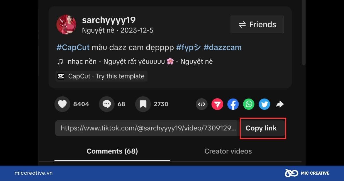 Chọn và sao chép liên kết video cần tải