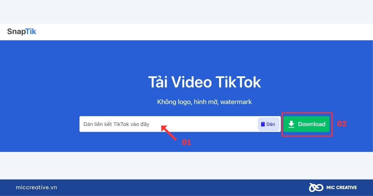 Dán liên kết đã copy vào SnapTik