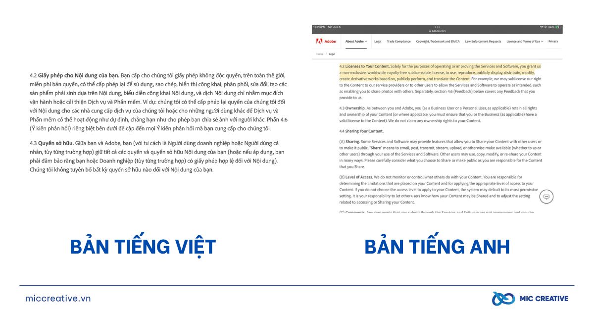 Người dùng Adobe nghĩ gì về điều khoản sử dụng mới