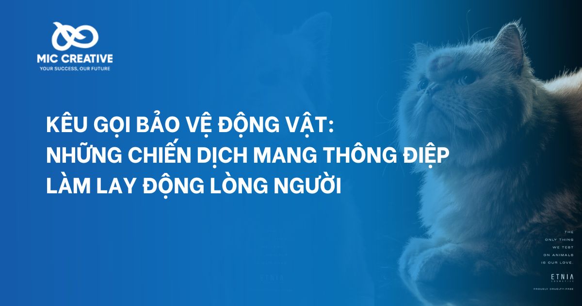 Kêu gọi bảo vệ động vật: Những chiến dịch mang thông điệp làm lay động lòng người