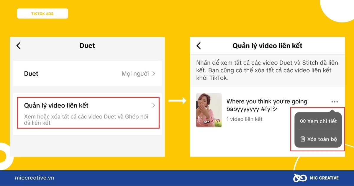 Duet trên TikTok nghĩa là gì