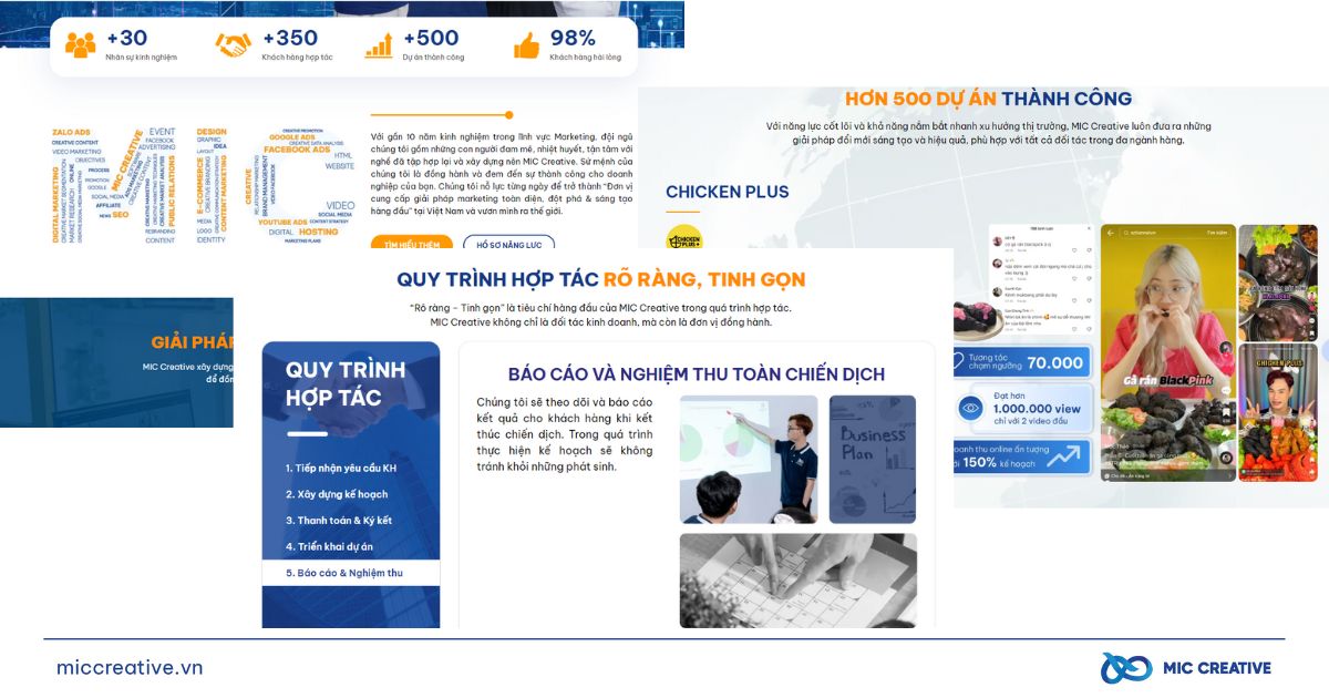 Giao diện Body Website