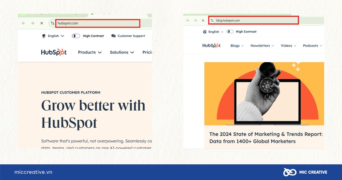 Cấu trúc Website