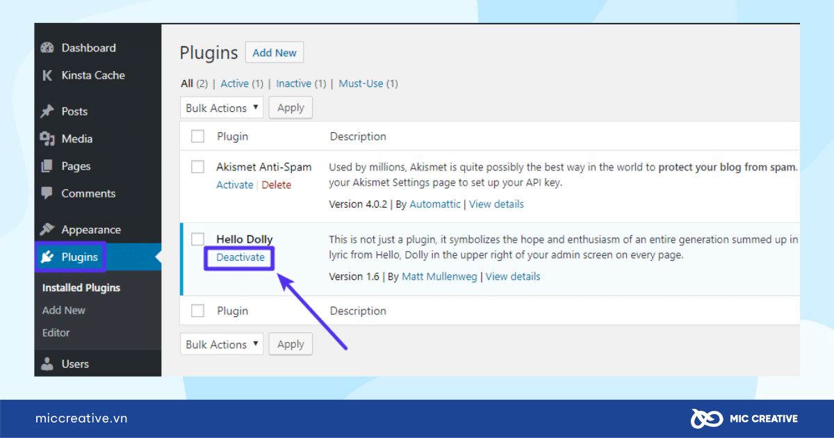 Vô hiệu hóa plugin