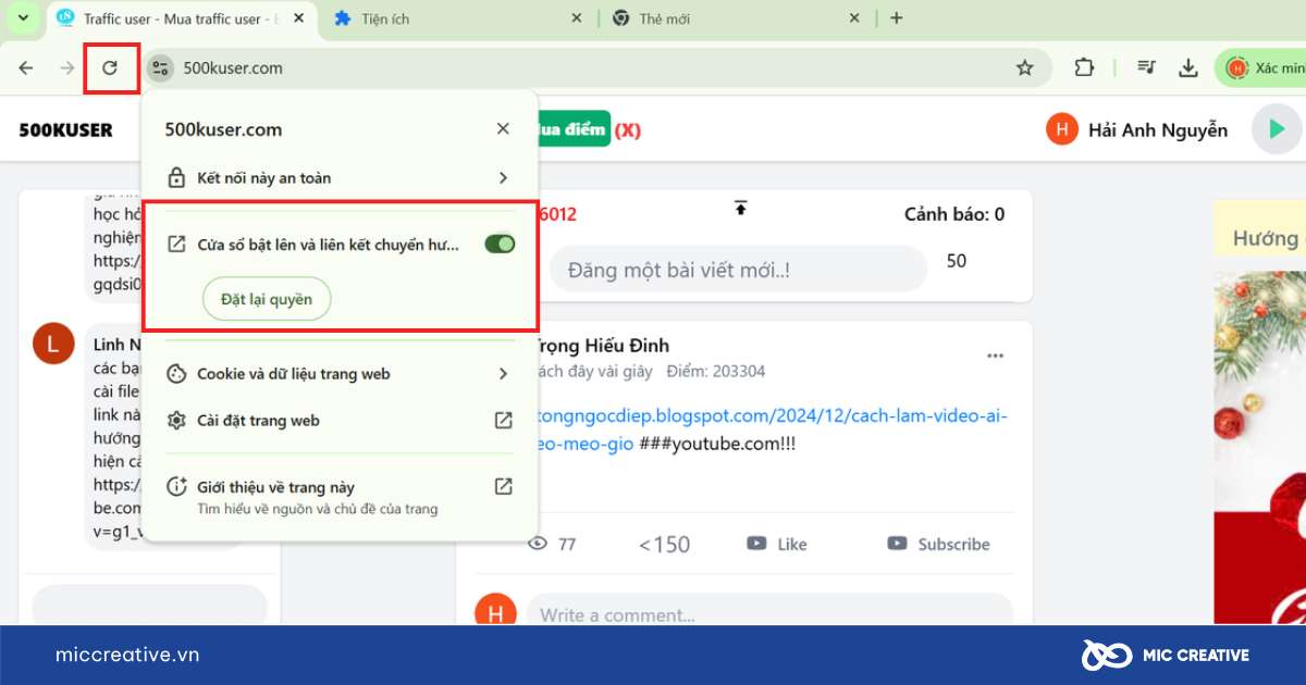 Phần mềm tăng lượt truy cập website