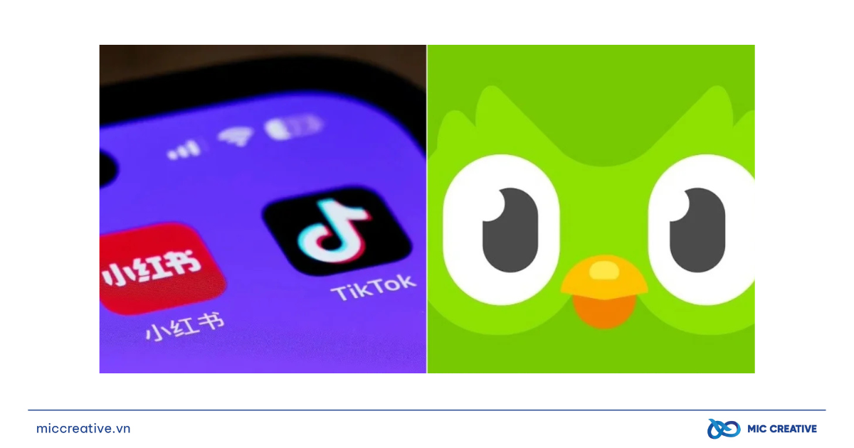 Duolingo 