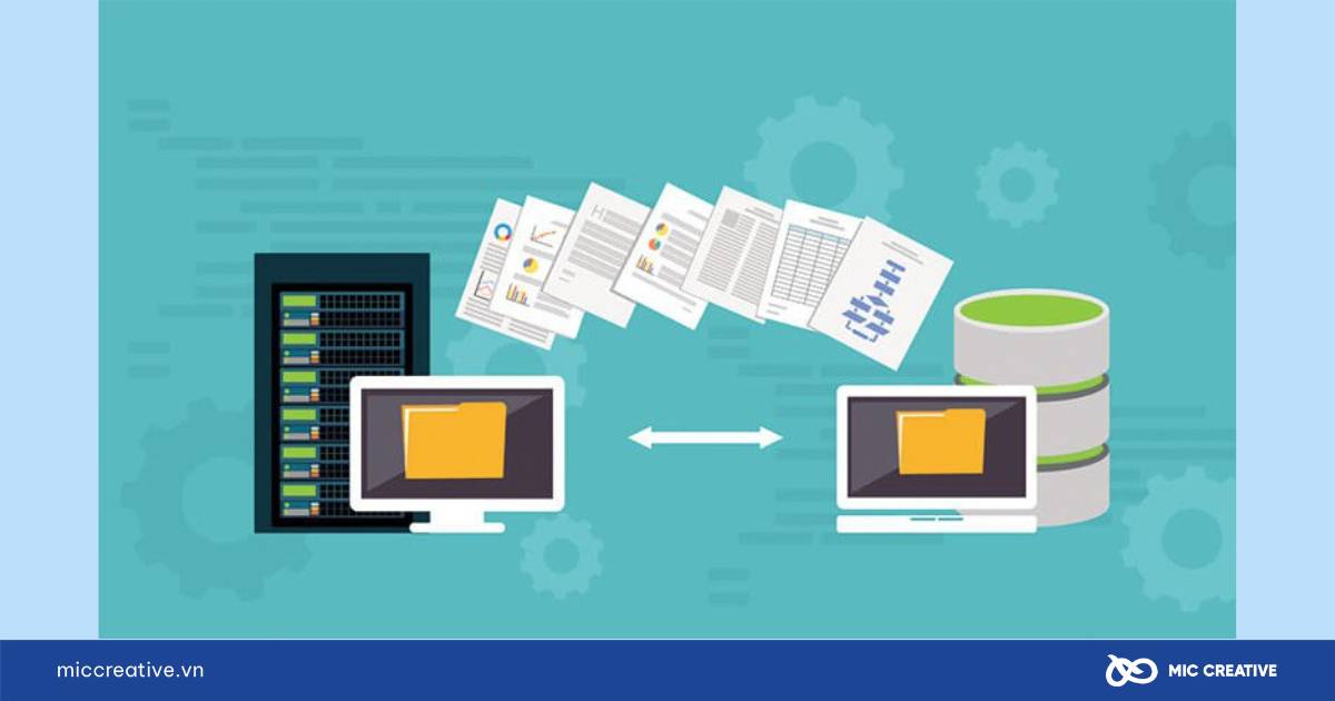 Không sao lưu website định kỳ