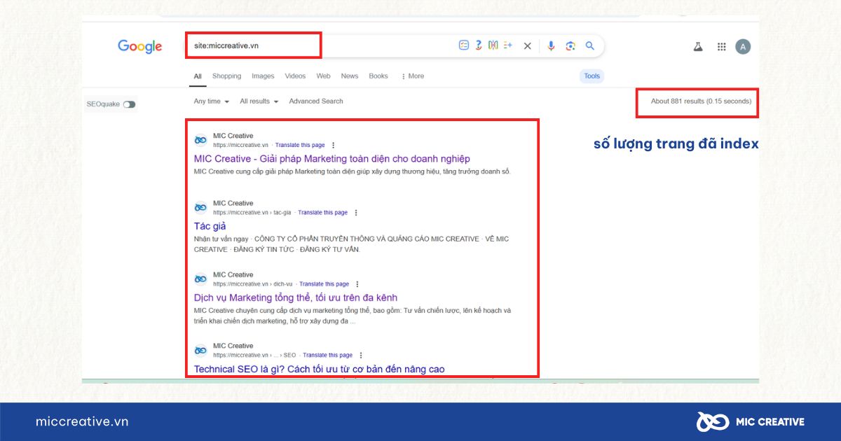 Kiểm tra các trang đã được Google index