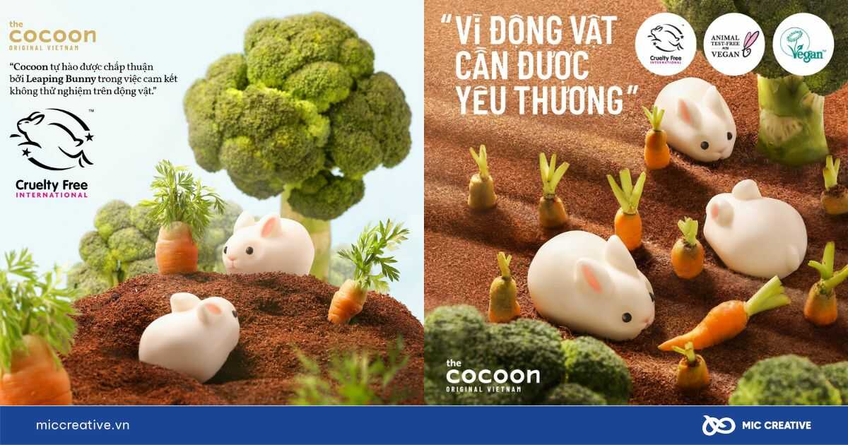 Chiến lược Marketing của Cocoon về sản phẩm