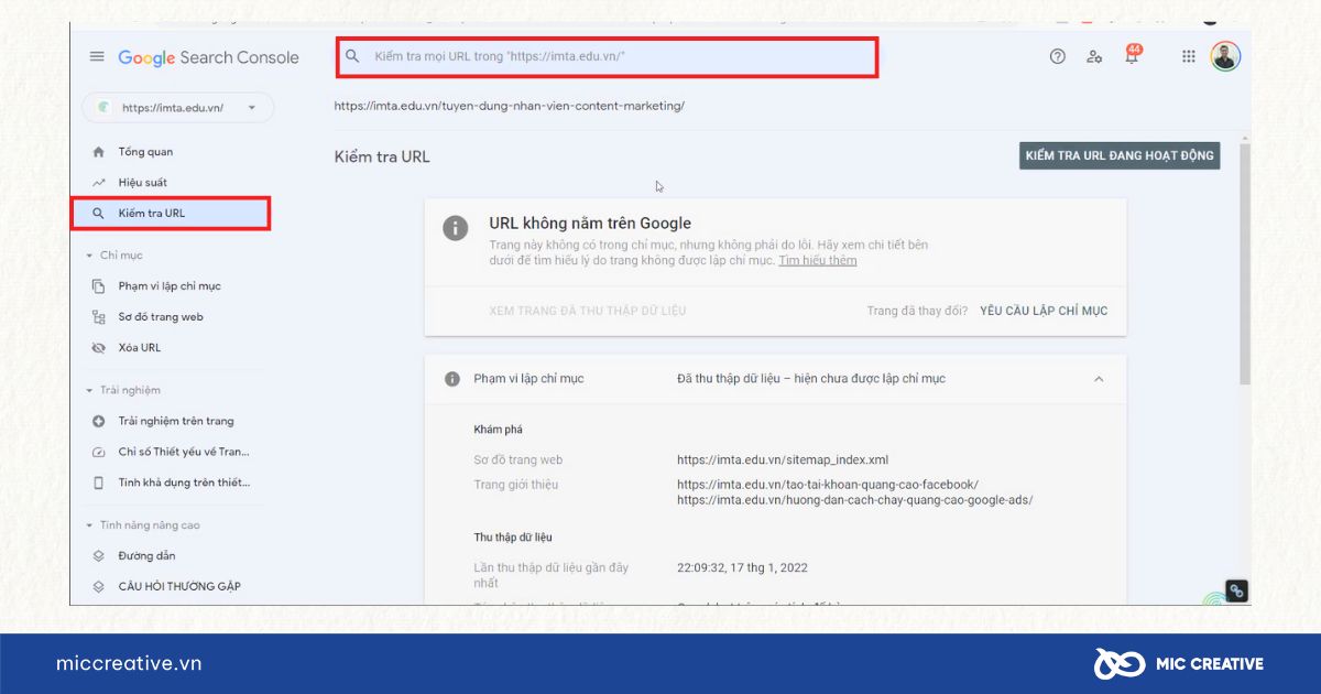Nhập URL để kiểm tra