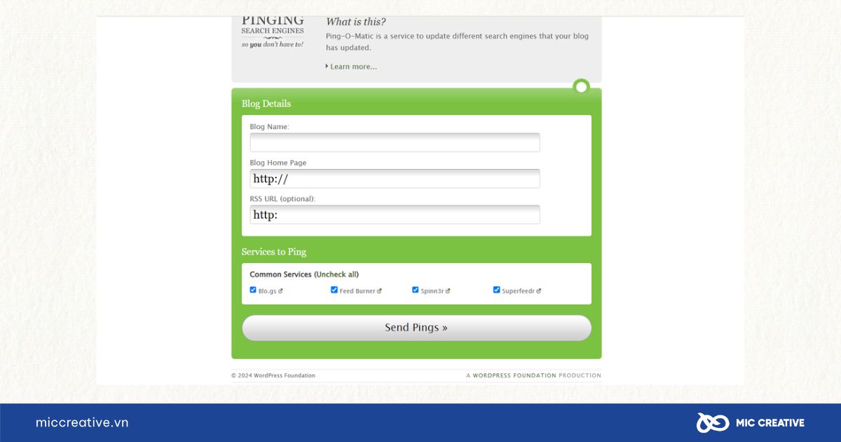 Nhập các trường thông tin và gửi Ping URL