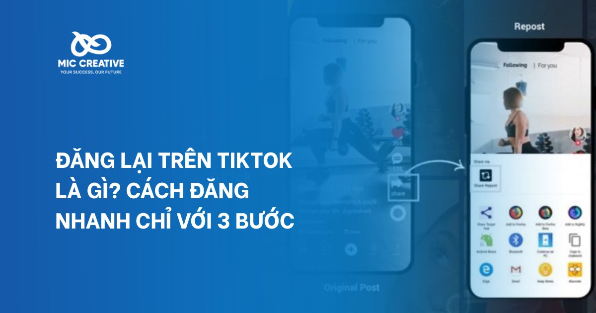 đăng lại trên TikTok là gì