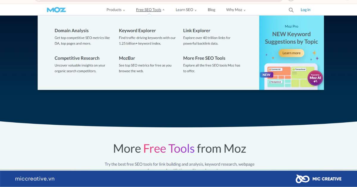phần mềm seo website