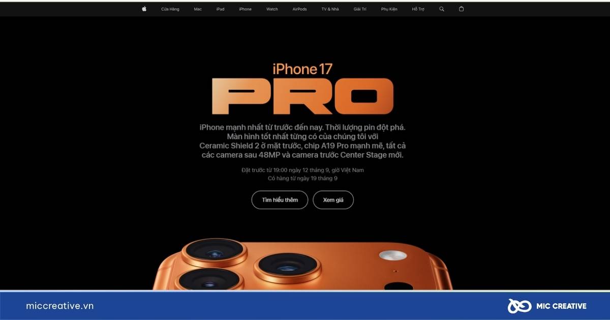 Layout website