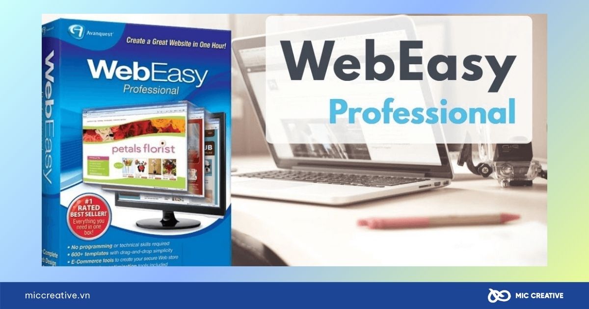Phần mềm WebEasy Professional 