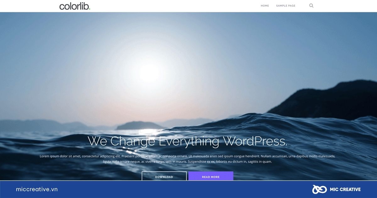 Theme WordPress Shapely