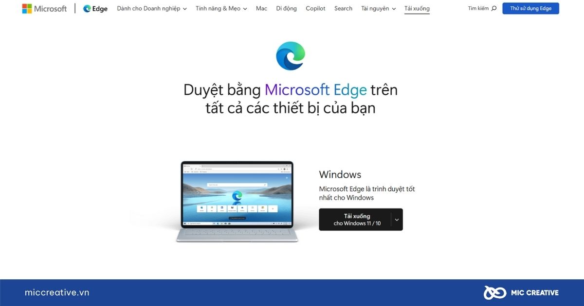 Các công cụ tìm kiếm phổ biến